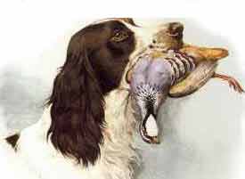 ��� �������� ������� ��� !