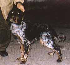  5.000 E ������ ��� ��� ������� ������ �������� ������ 4 ���� ��� �������� 2 ���� , ��� � � ��������� ���. 6979-952542 
 !