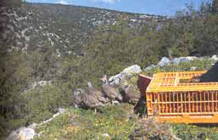 ����� ������������