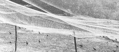 �� ������� ����� �� ������ �� ����� ����������� �� �������� ������������