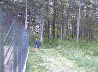 H ����������� ���� ����������� ��� ������ ����������