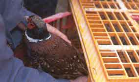 ������ ������ ��� �� �������� ��� ������� ��� �� ������