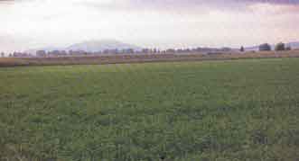 �� ������� ���� ���������� ��������� , ����������� ������ �� ������ !