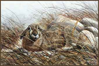 (������� A. Mazzoli)