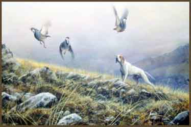  �� ������� (������� A. Mazzoli)