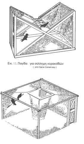 ������� ��� �������� ���������� - Game Conservacy