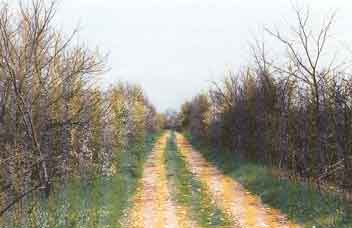 ���� ����� ������� ������� 