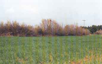 �������� ������� �������