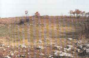 ������� ��� ����������� ������