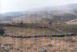 ������ ���� ����� ��� �� ������ �������