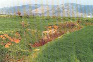 � ����������� ������� ������ , �������� ��� ���� ���������� ��� �������