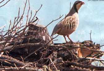 O �������� ������, � ������ �� ��������� ��� ������ ����� ��� 
����������� ��� ����� ������, ������� �� ������� ���� �� ...���� 
������������!