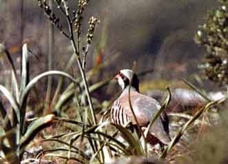 �� ������ ����� �� ������ �������� ��� �� ������ ��� ������������. �� ������������ ��� ����� ����� ������ ������� ��� ��� ������� ������ !