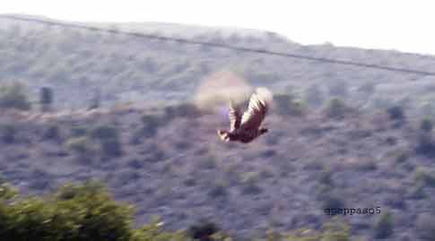 T������ �� ������� !