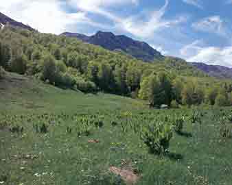 �� ������� !