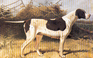 ������ ������� - T� �������� ������� ���� 1881 ��� ����� �����