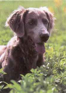 M� ����� �������