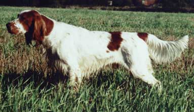 ����� ������� ��������� ������