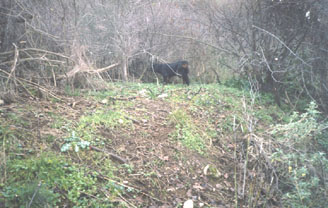 ���� �����