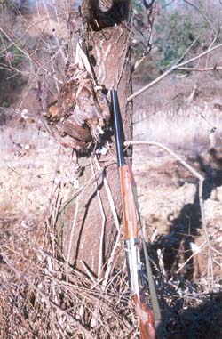 �� ������ ��� �� ���� ���