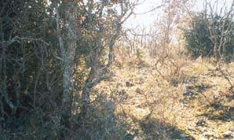 �������� ���������