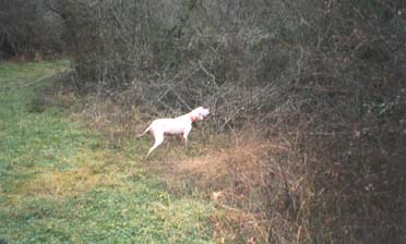 � ���� ��� !