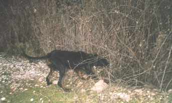 H ����� ����� �� �������� �������