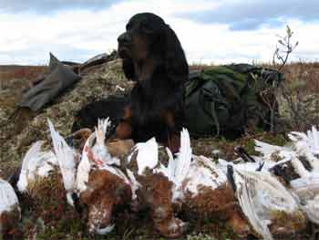 KY�������� ���� ����� ������ �������� !