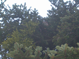 � ������� ��� �� ������ !