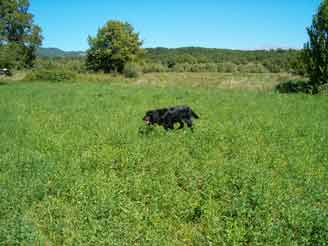 ������ �� �������