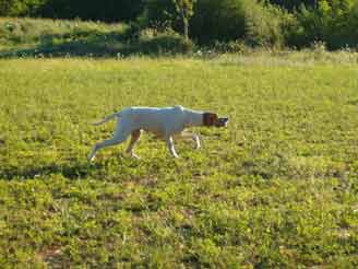 ����� �� �������