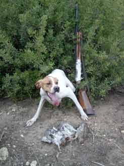 �� ������ �������