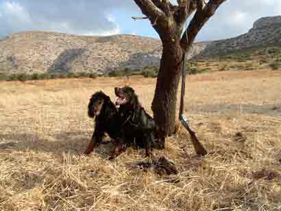  Niva - Midia 
