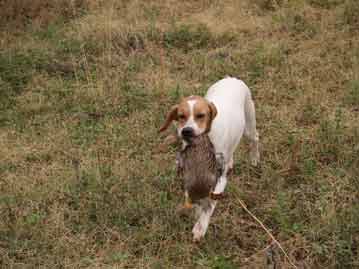  ��������� (�����)