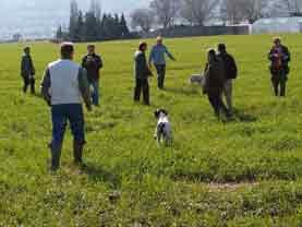 �� ������ ARIS �������  - RALOU � ������ 