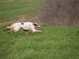 ��������� ����� ������ ������� ! 