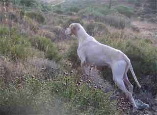 Uno ���� ����������� �������������� ! 