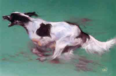  Gordon� �� ���������� ��������