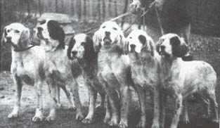 Ta ������ ��� G Colombo