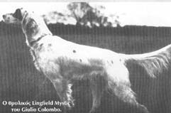 Lingfield Mystic