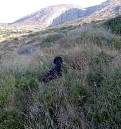 ����� ��� ����� ��� ������ 