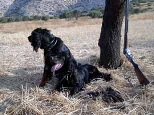 ���� ��� ��� ���� ������� !