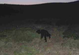 �� ���� ������� �������� �� �� ��� ������� �� ���������� , ����� ����� ���� ����� ��� ���� !