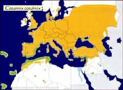 To ������ ���� ������ 