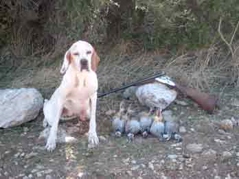 ���� ��� �� ���������� ��� ����� 2003