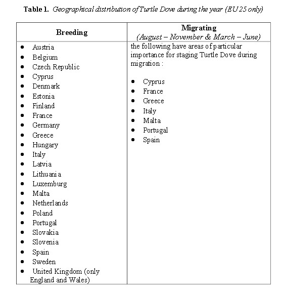 � ��������� ��� �