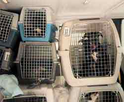 ������ ����� ������ Ӵ ��� ��� ���� ����������
