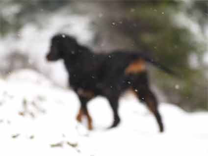 ������ �� ��������