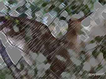 ��������������������