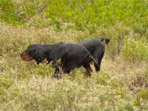 ����� ����� ������� �������